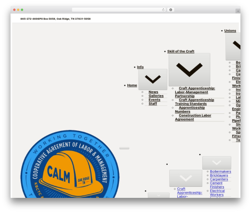 Linguise – Automatic multilingual translation (linguise) free WordPress plugin - calm-tn.org