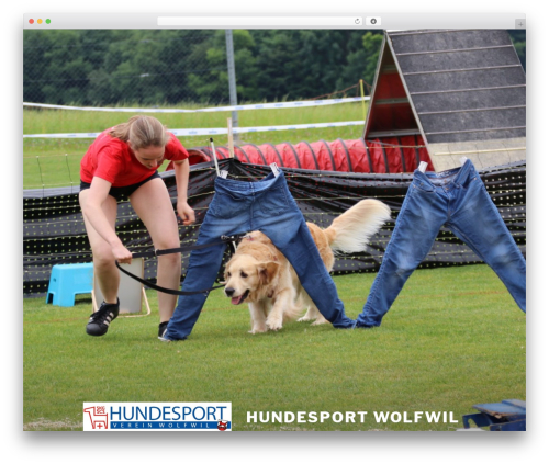 Testimonial – Customer Feedback, client testimonial, Review (testimonial-maker) free WordPress plugin - hundesport-wolfwil.ch