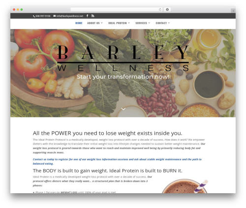Aspen footer editor WordPress plugin - barleyfairhavenweightloss.com