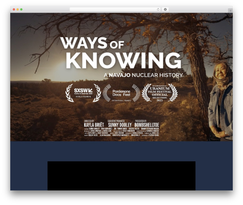 Create premium WordPress theme - waysofknowing.us