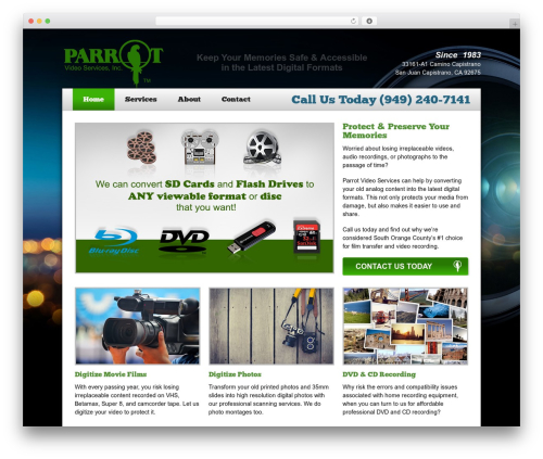 Custom Website WordPress theme - parrotvideo.com