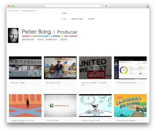 DP Evolve WordPress theme - peterbarg.com