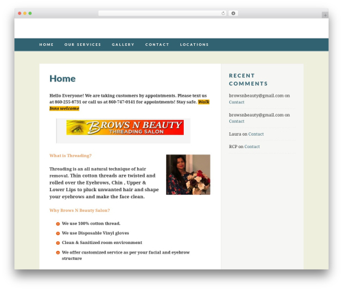 Virality WordPress theme - browsnbeauties.com