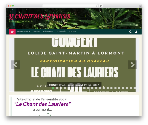 6temflex WordPress theme - lechantdeslauriers.com