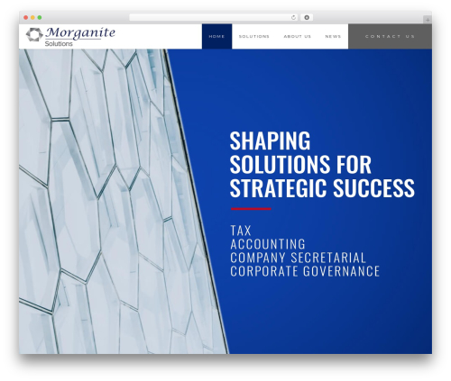 Definity WordPress website theme - morganitesolutions.co.za