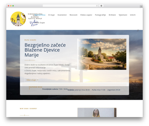 Envira videos WordPress plugin - zupavidosi.com