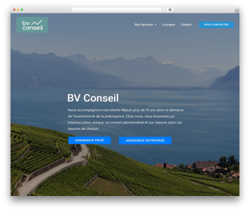 Typehub WordPress plugin - bvconseil.ch