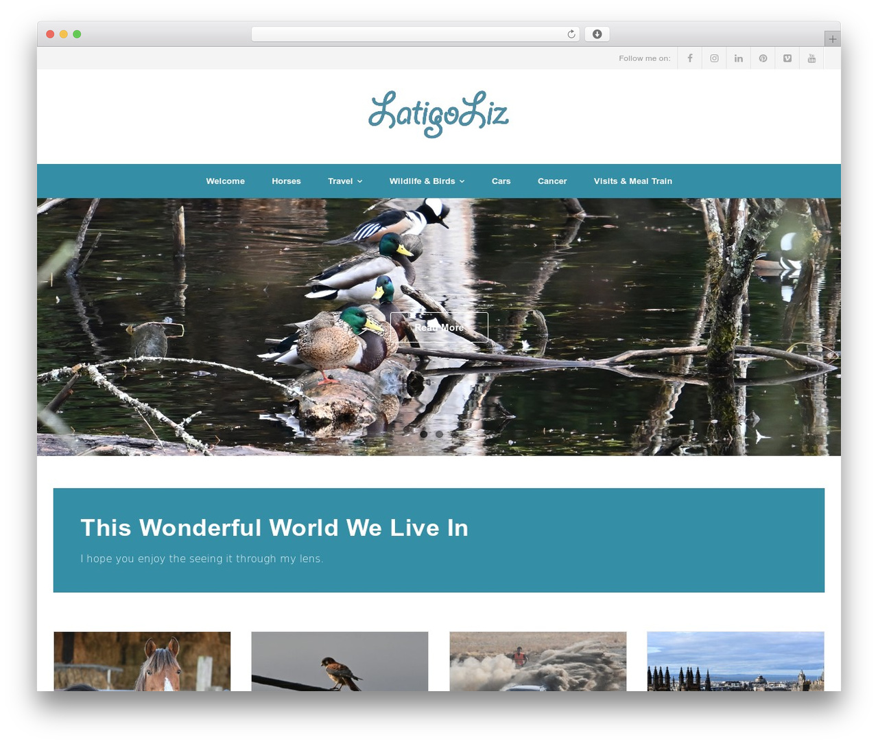 Shuttle WordPress theme - latigoliz.com Shuttle WordPress theme - latigoliz.com