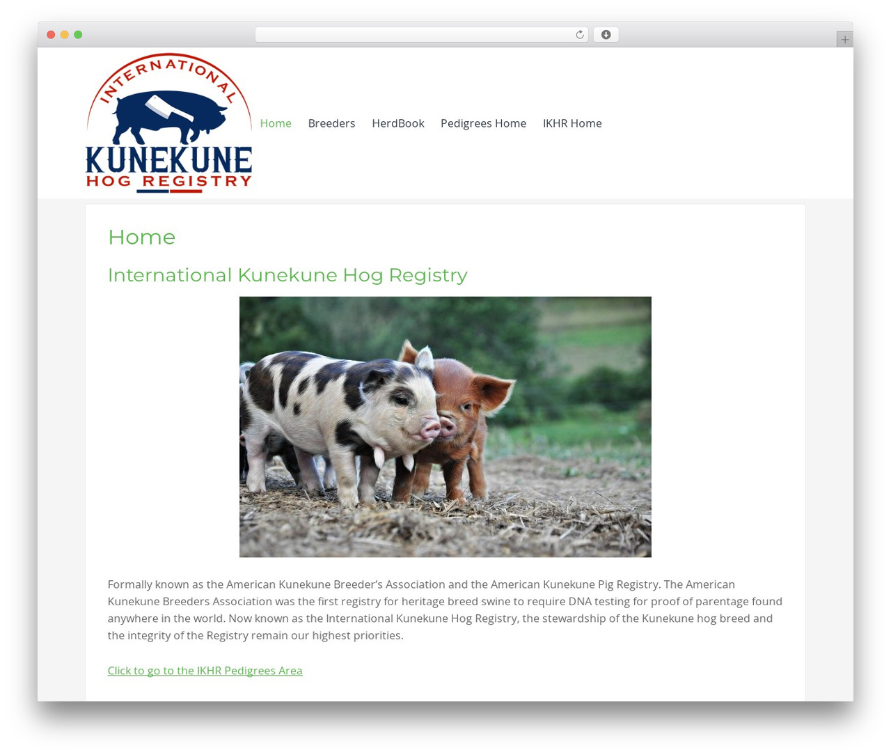 Summit WP theme - americankunekuneregistry.com Summit WP theme - americankunekuneregistry.com