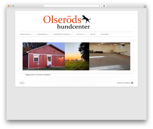 Tiny Forge WordPress theme - xn--olserdshundcenter-3zb.com