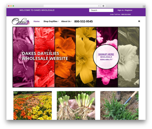 Content_timeline WordPress plugin - oakeswholesale.com