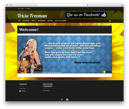 Best WordPress theme Strings - triciafreemanband.com