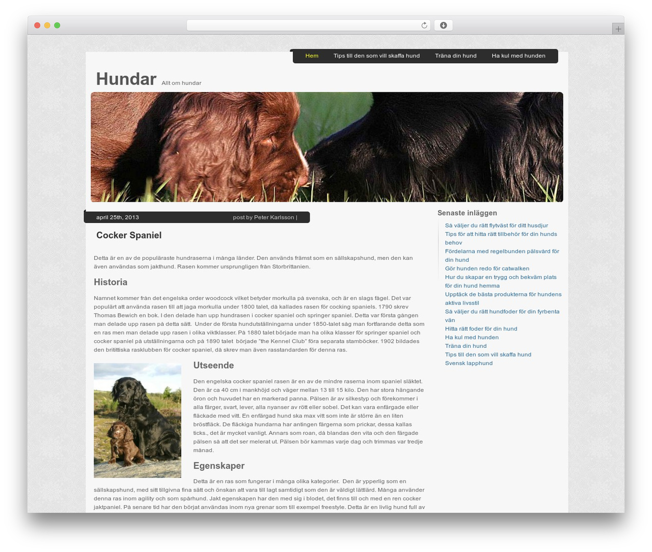 Breezing WordPress theme - toffies.se Breezing WordPress theme - toffies.se