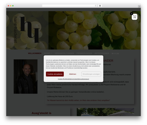 Saferpay_woocommerce_gateway WordPress plugin - hans-haider.at