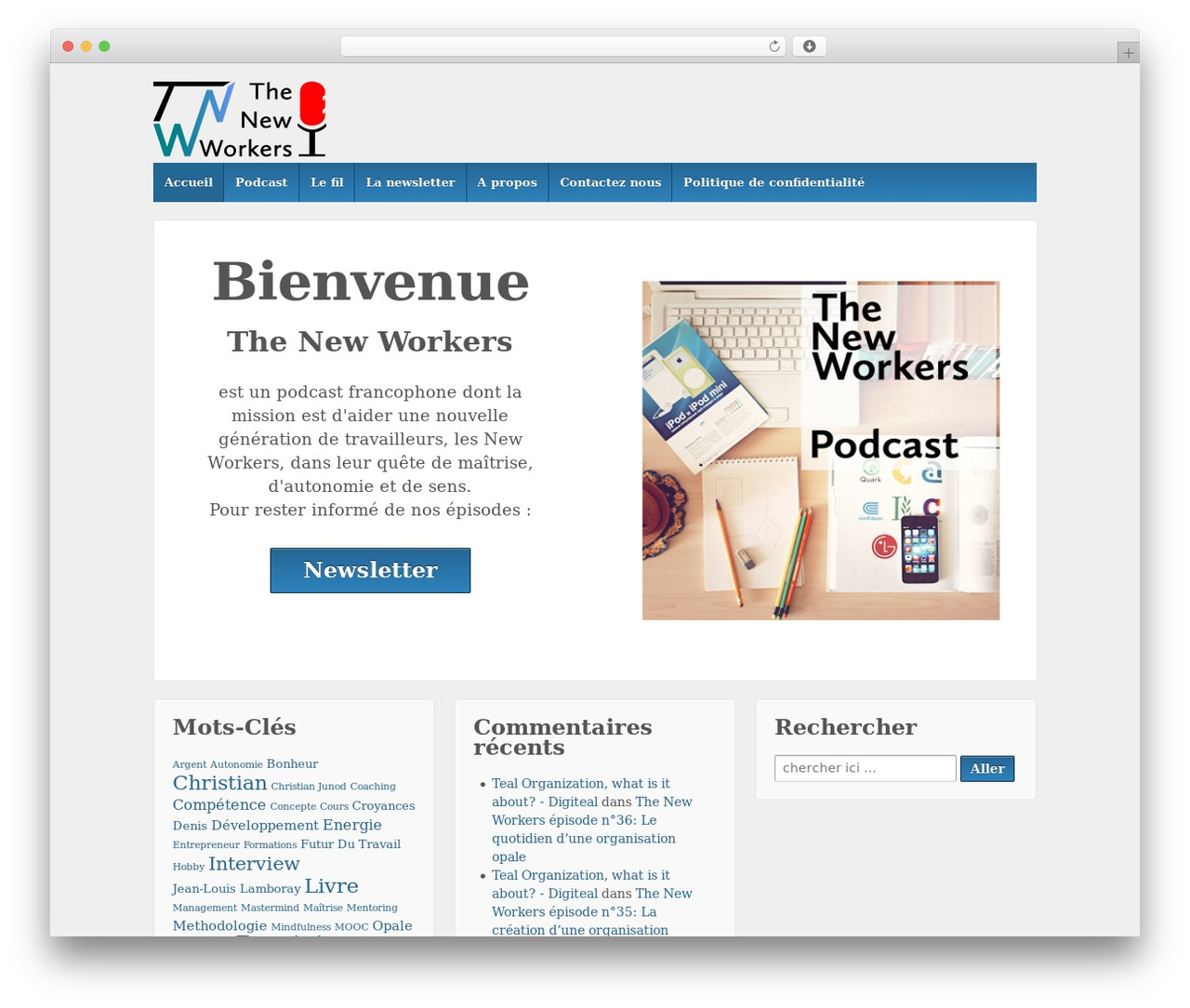 Responsive Pro WordPress theme - thenewworkers.com