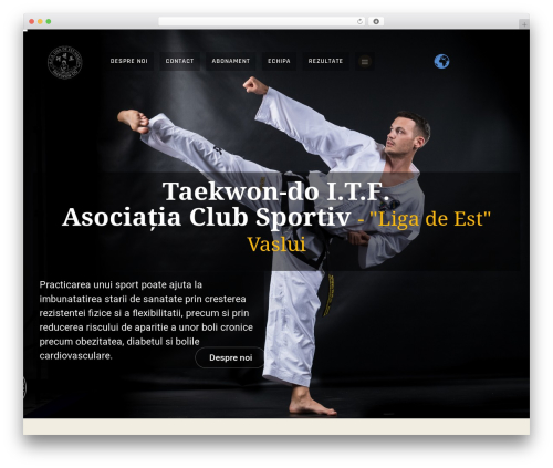 Micro Archive Widget (micro-archive-widget) free WordPress plugin - taekwondo-vs.ro Micro Archive Widget (micro-archive-widget) free WordPress plugin - taekwondo-vs.ro