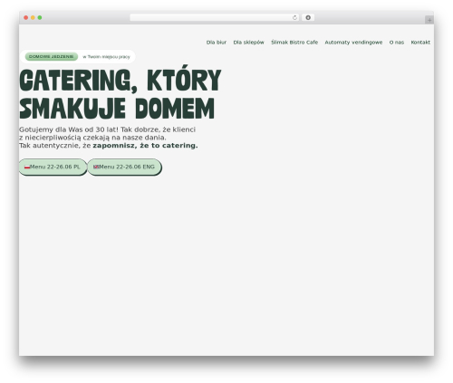 My elementor widget WordPress plugin - slimak.com.pl