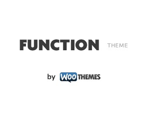 WP theme Function WP theme Function