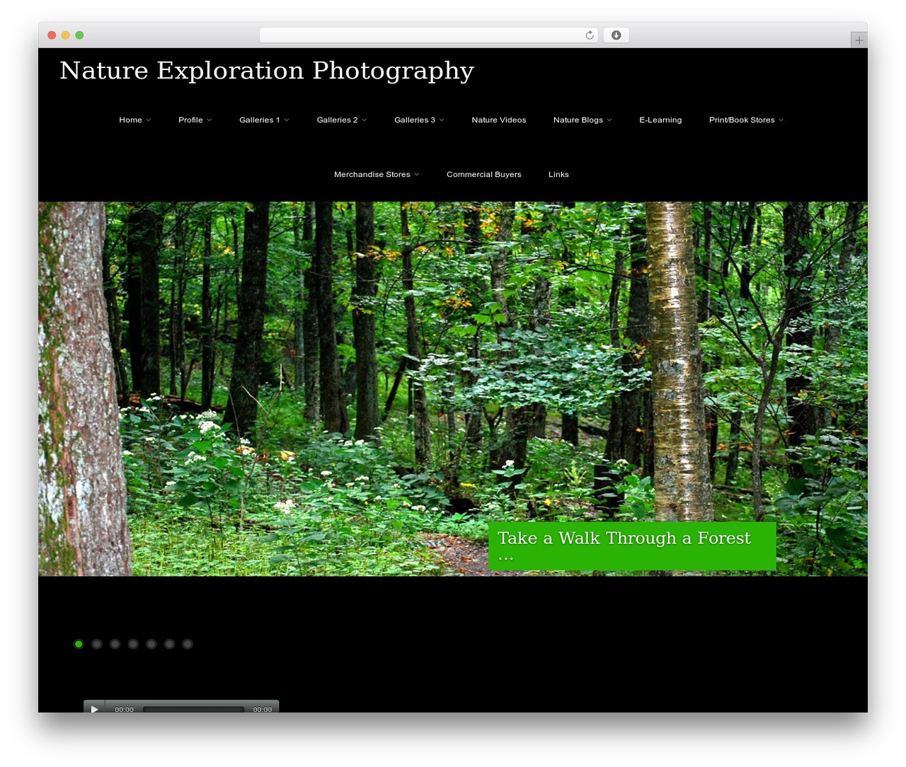 Asteria PRO WordPress theme image - natureexplorationphotography.com Asteria PRO WordPress theme image - natureexplorationphotography.com