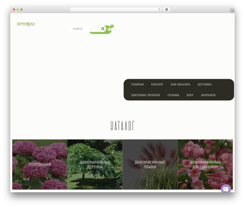 Product Pre-Orders for WooCommerce (product-pre-orders-for-woo) free WordPress plugin - xn---71-5cdtx6bgjb.xn--p1ai