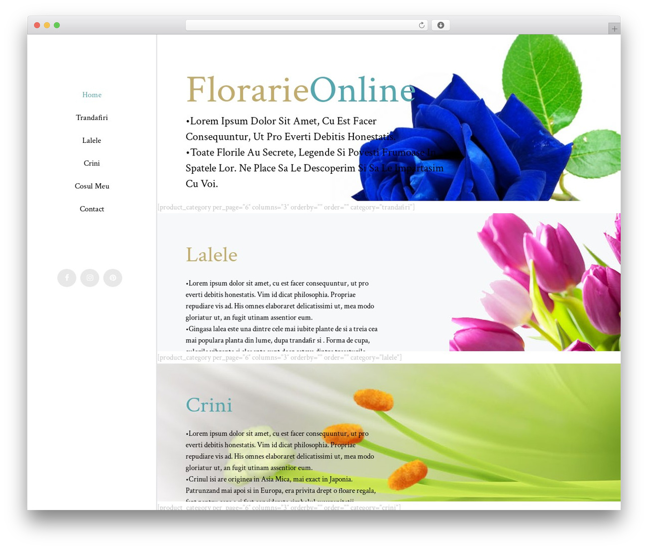 Bridge WordPress page theme - florarie-online.com