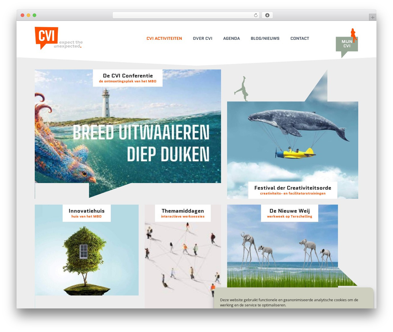 Somentra WordPress theme - cviweb.nl Somentra WordPress theme - cviweb.nl