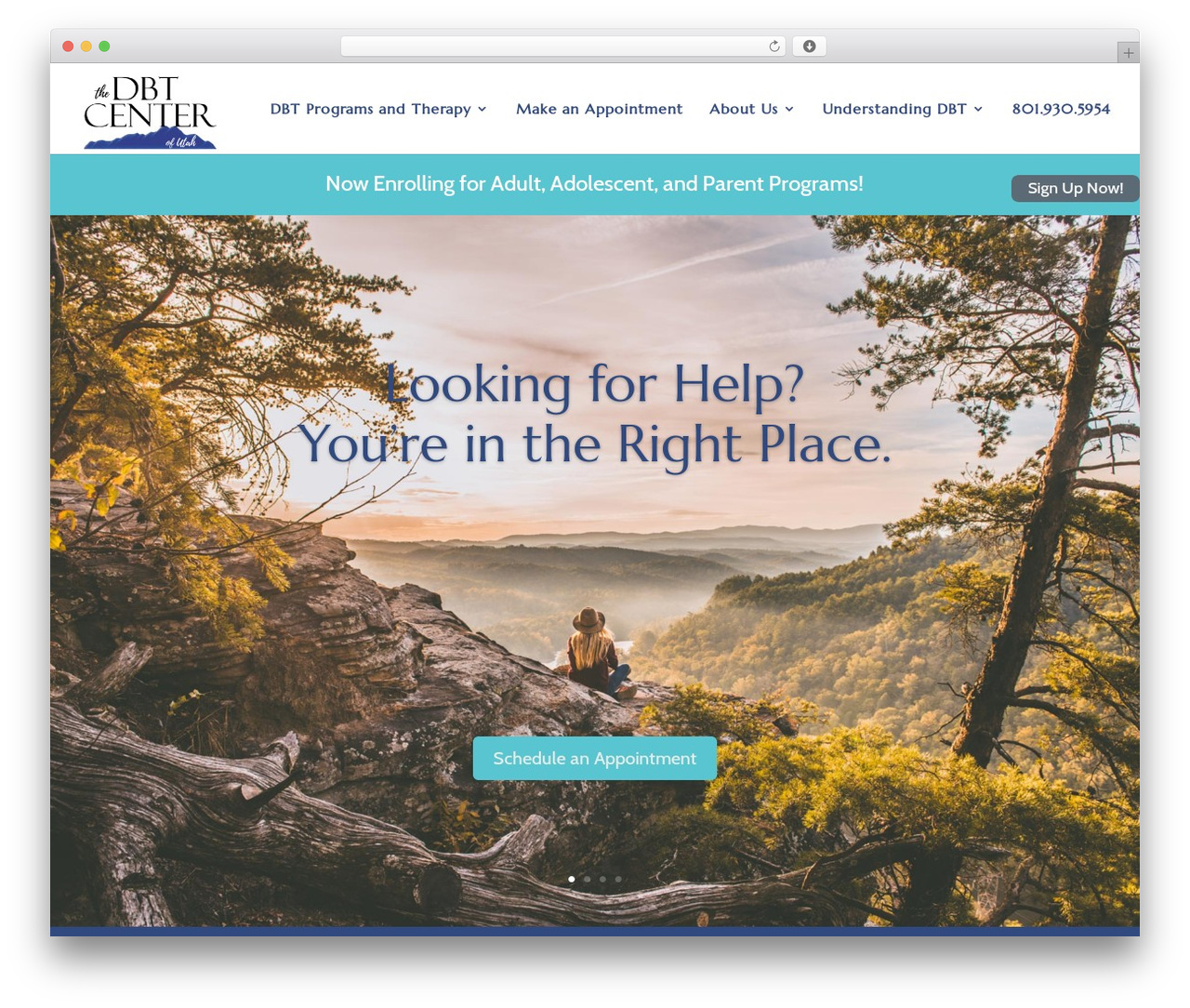 Divi theme WordPress - dbtcenterofutah.com