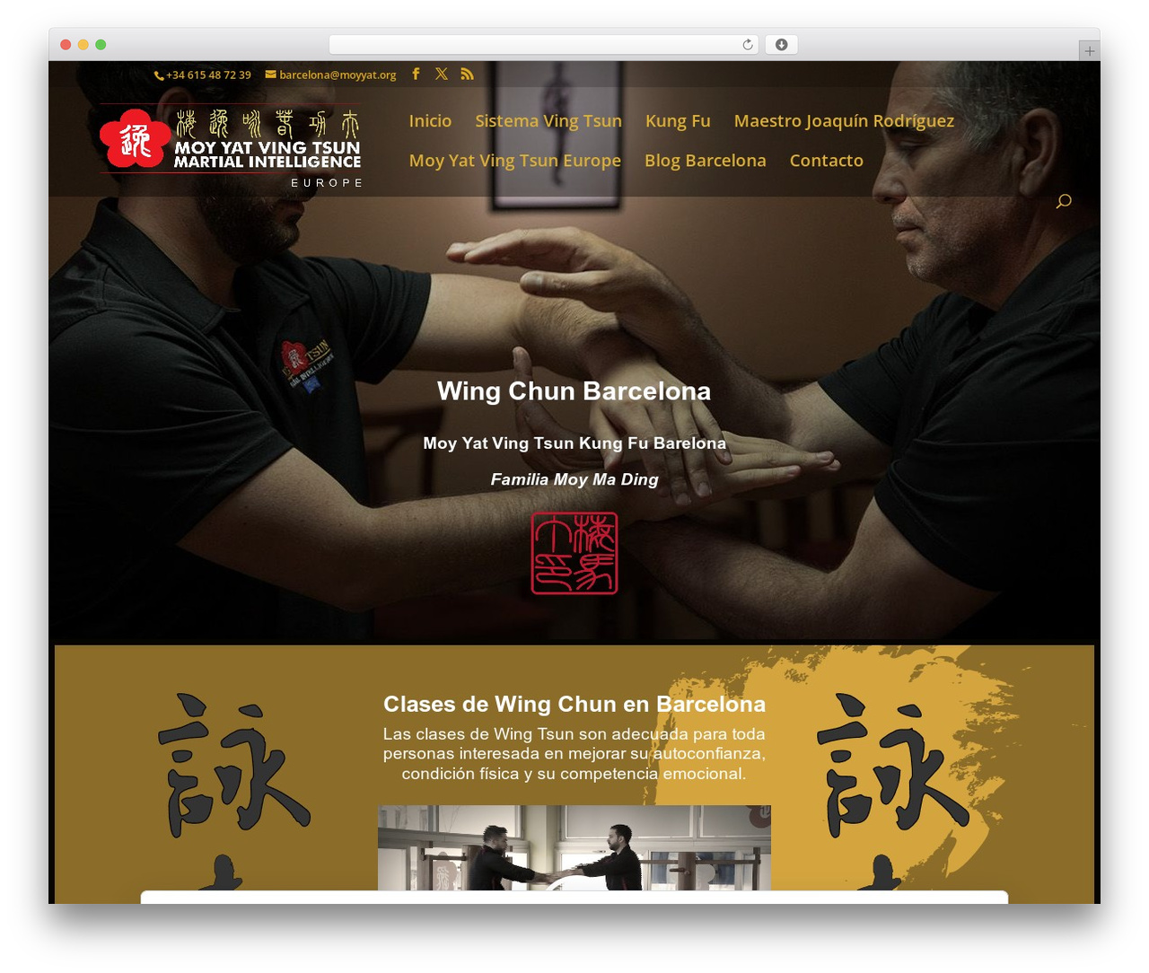 Divi WordPress theme - wingchunbarcelona.com Divi WordPress theme - wingchunbarcelona.com