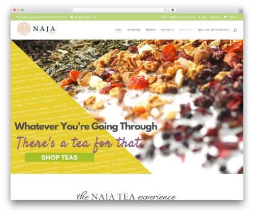 Woocommerce wholesale lead capture WordPress plugin - najatea.com