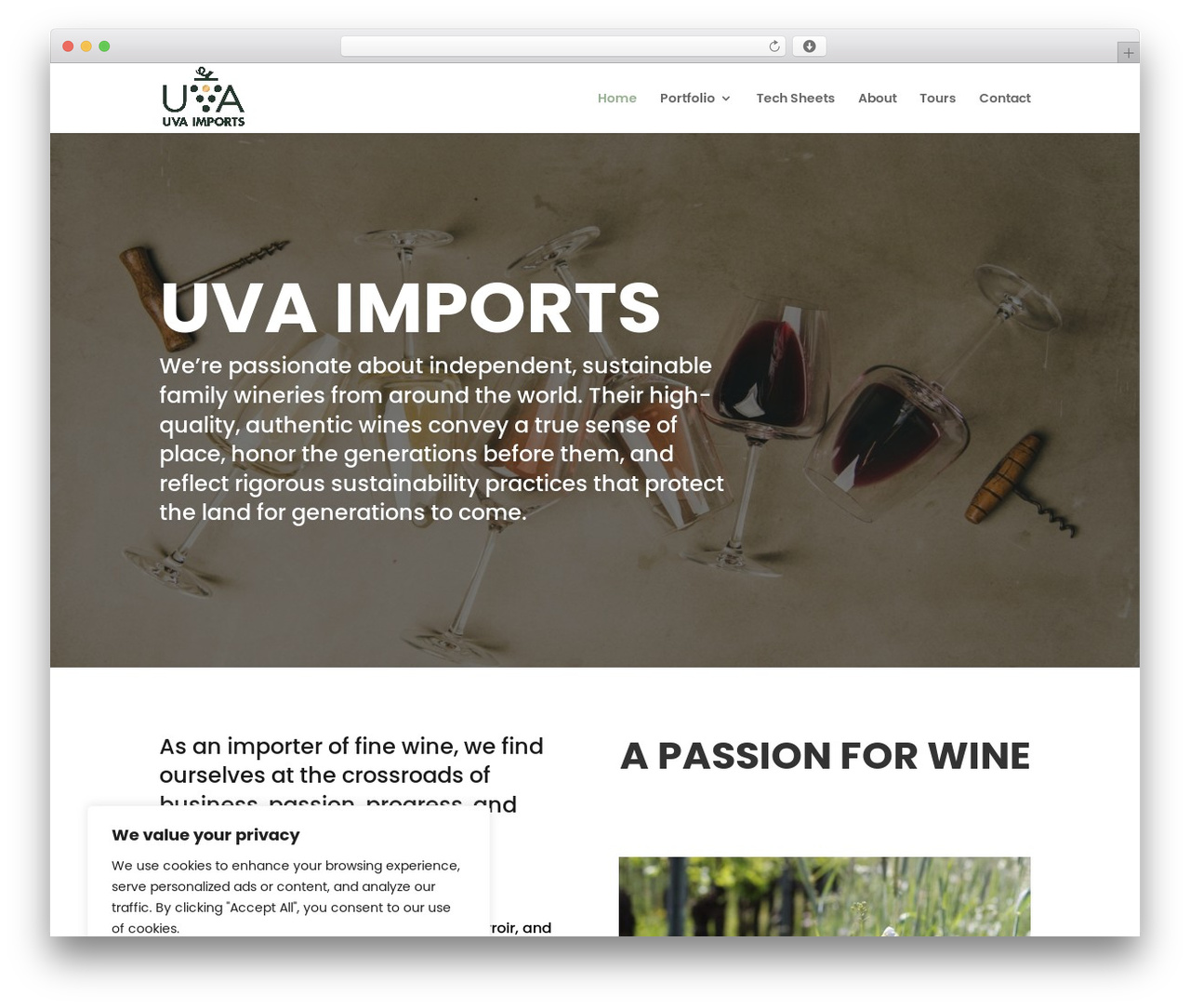 Divi WordPress theme - uvaimports.com