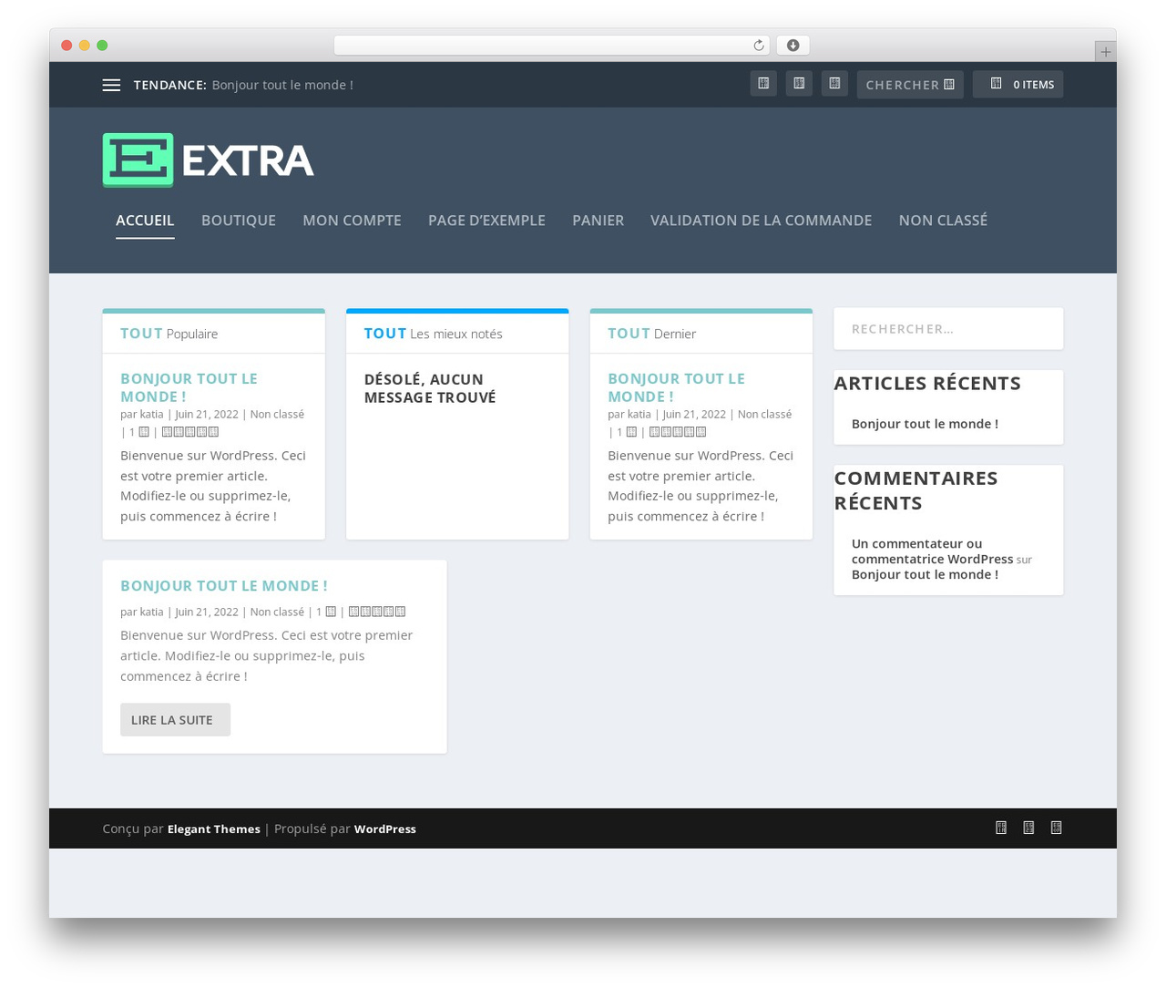 Extra theme WordPress - olla-la.com