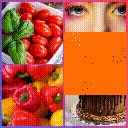 Animated Live Wall – Photo Animation, Feed Gallery for instagram And Flickr free WordPress plugin by A WP Life
