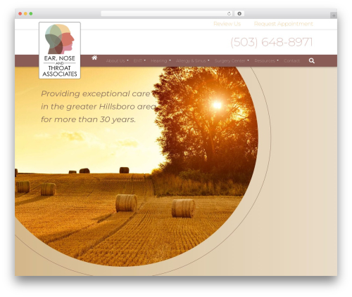 fuel WordPress theme - hillsboroent.com