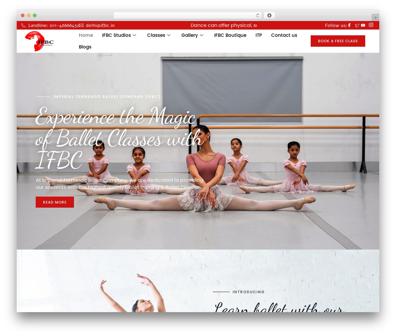 Hello Elementor theme WordPress - ifbc.in