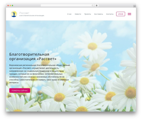 Kandinsky top WordPress theme - rassvet-altruism.ru