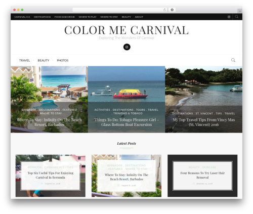 Raspberry WordPress website theme - colormecarnival.com