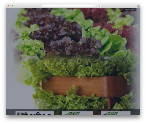 Lightweight cookie notice WordPress plugin - forinoproduce.com