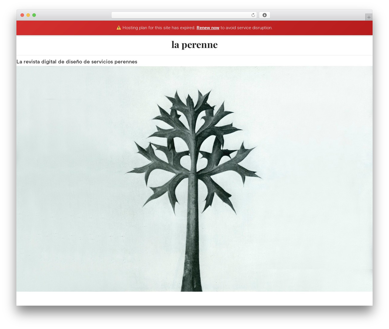 Theme WordPress Webify - laperenne.com Theme WordPress Webify - laperenne.com