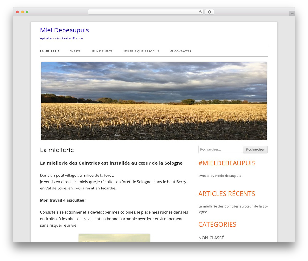 Tiny Framework WordPress theme free download - mieldebeaupuis.com Tiny Framework WordPress theme free download - mieldebeaupuis.com