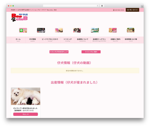 Lightning video unit WordPress plugin - beeclub.co.jp