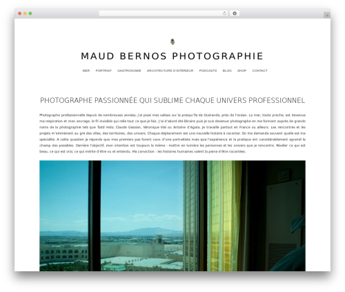 WordPress theme Authority - Starter Theme - maudbernos.com