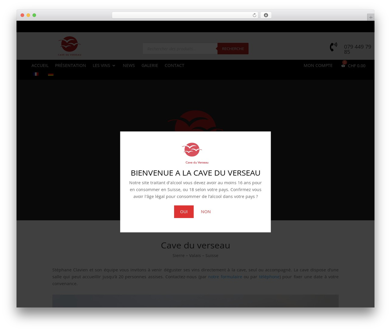 WordPress theme Novagency DiviChild Theme - cave-du-verseau.ch