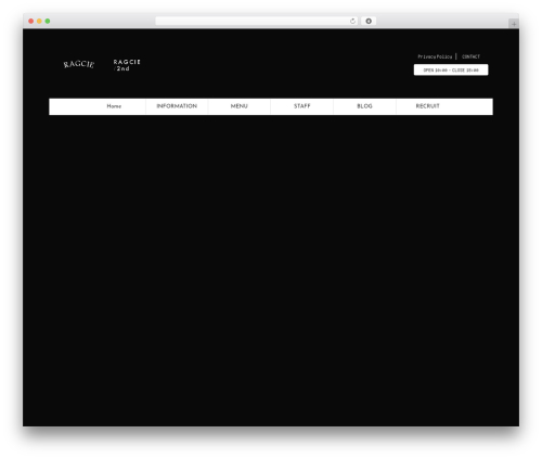 St blocks WordPress plugin - ragcie.com