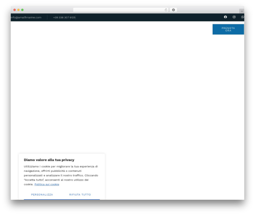 WP theme Hello Elementor - amalfimarine.com