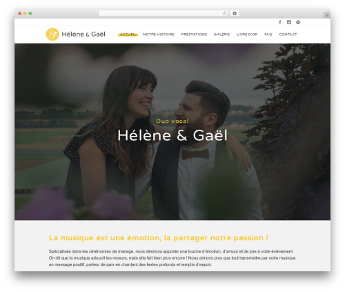 Rt zona extensions WordPress plugin - helene-gael.ch