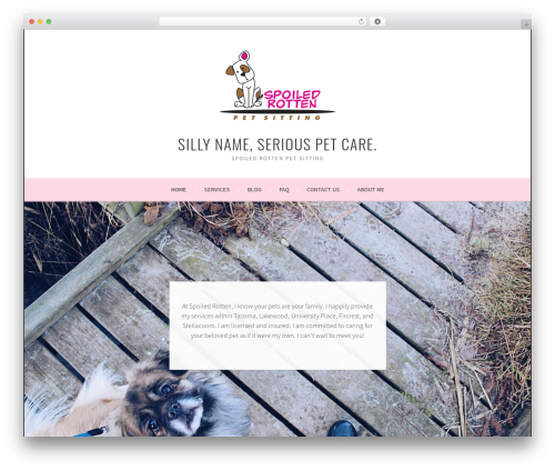 Pixel cat WordPress plugin - srps-wa.com