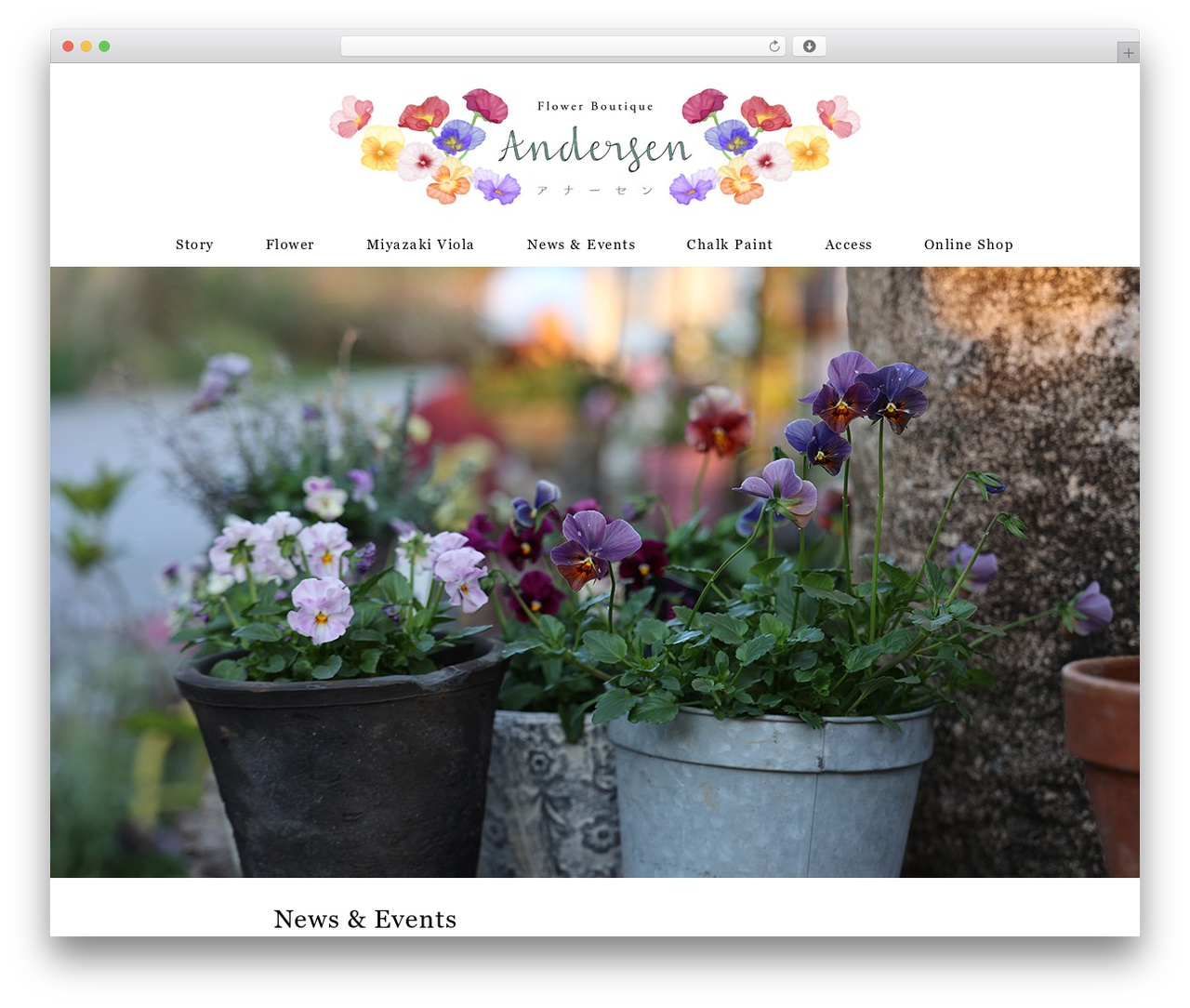 Theme WordPress Andersen - andersen-flower.com Theme WordPress Andersen - andersen-flower.com