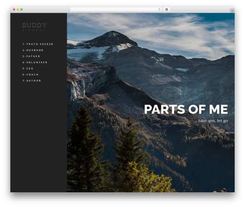 TopPic WordPress theme - buddyfichera.com