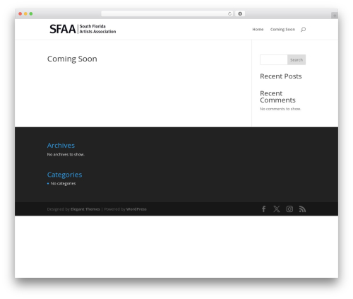 Divi WordPress theme design - south-florida-artists.com