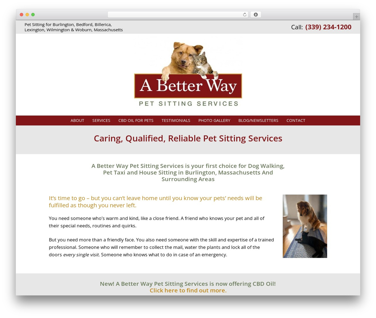 Emphasize Pro WordPress theme - abwerrands.com